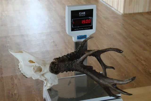 Product image 13